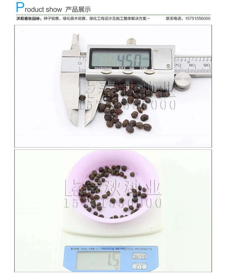 紅葉石楠種子銷售參考價(jià)格
